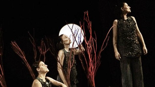 SOTOBOSQUE, LA VIDA BAJO LOS ÁRBOLES