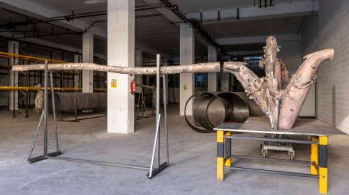 CHARLA INAUGURAL VASCULAR