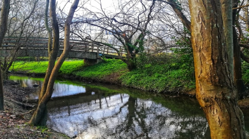 Paseo Por el humedal de Bolúe