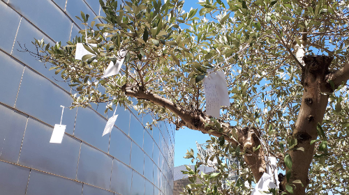 ACTIVACIÓN ARBOL DE LOS DESEOS PARA BILBAO