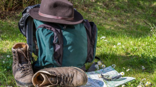 Actividad de Orienting para familias y grupos