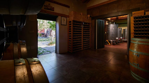 Segovia: Visita a Bodegas con Cata de Vinos