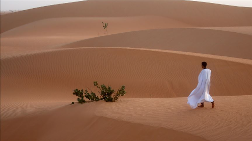 Concierto por el Sahara