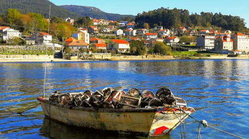 Desde Santiago: tour de vinos y marisco en Rías Baixas