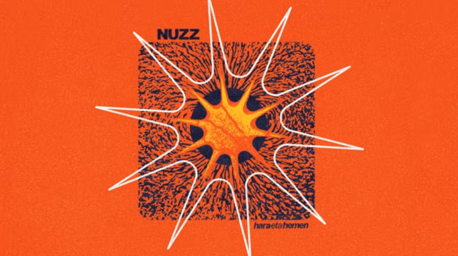 Nuzz en concierto
