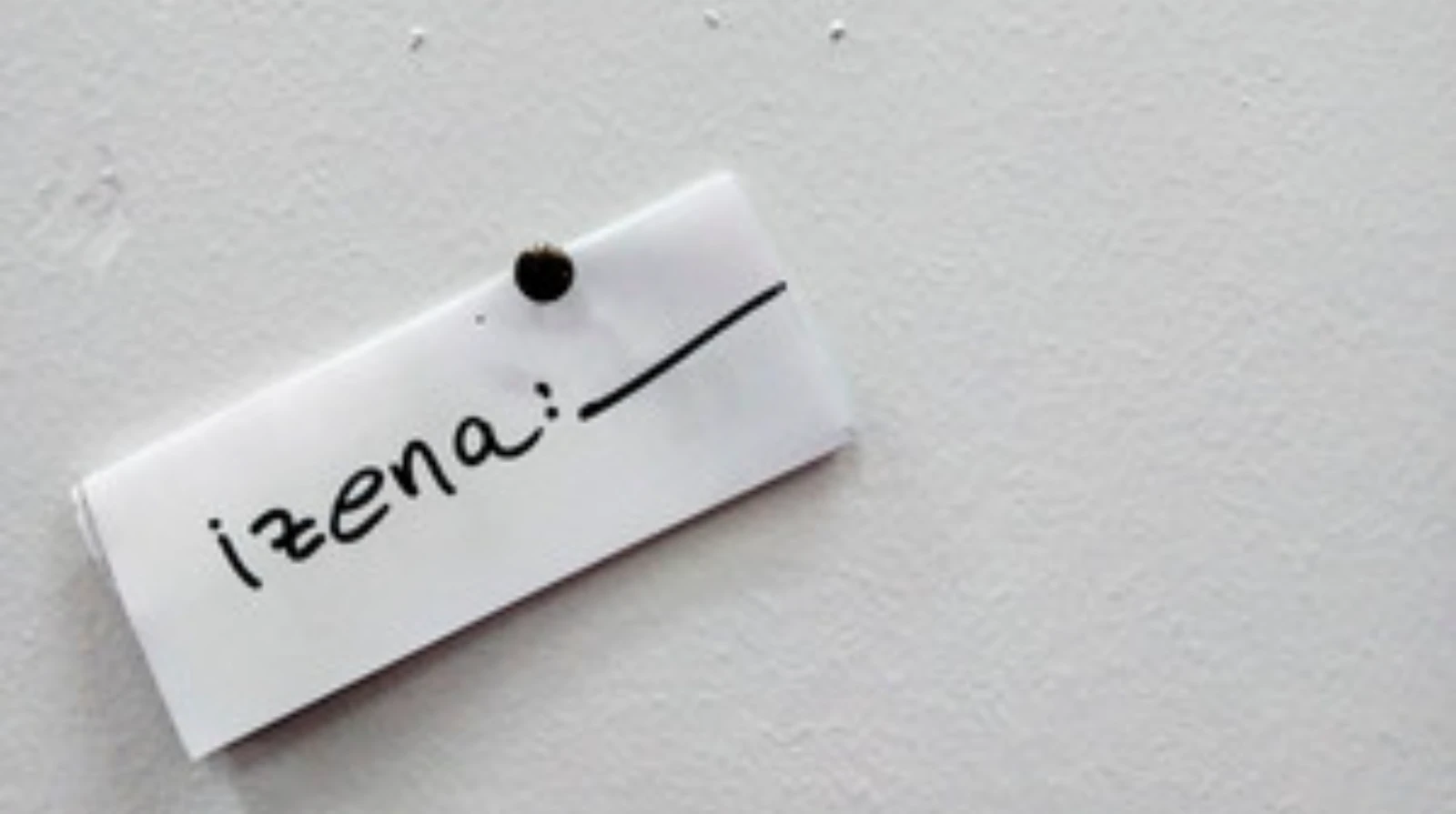 Izena en concierto