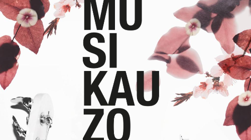 Musikauzo: Música en la calle