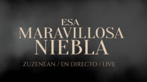 Mikel Bizar-Esa maravillosa niebla