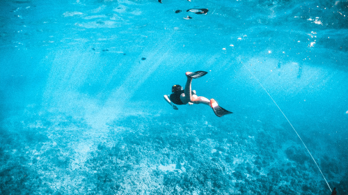 Snorkeling