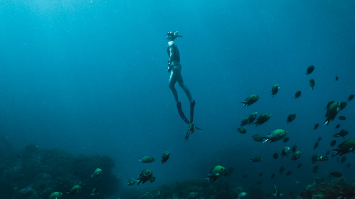 Apnea: curso freediving iniciación