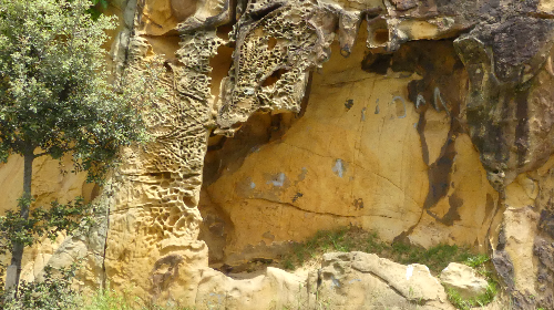 Rocas que hablan, Georruta por Algorta