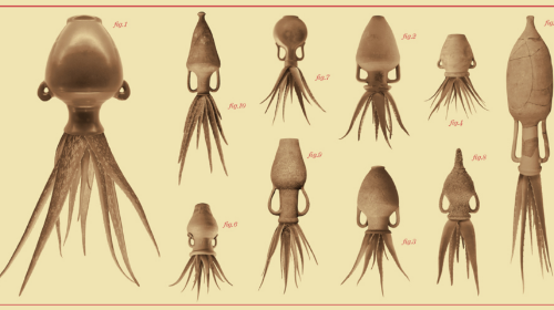 Actividades familiares  Ciencia Fricción