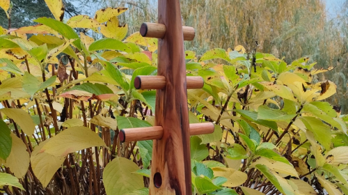 Matriegunak. Gure oroimen matrilineala berreskuratzen