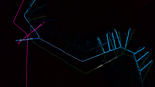 CONFERENCIA ESTHER PIZARRO