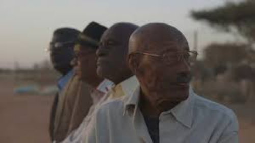 Silver Film Festival: Proyección "Talking about trees"