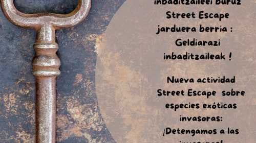 Street Escape: Detengamos las plantas invasoras