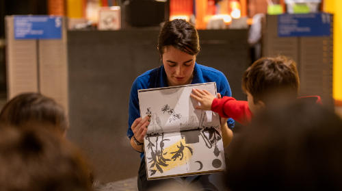 Lettering: caligrafiando