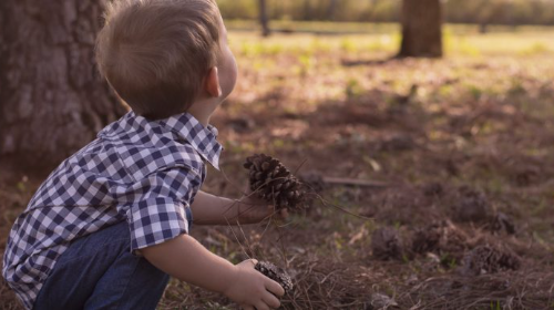 Detectives de la Naturaleza
