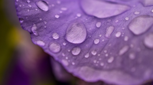 Eco juguetes: El ciclo del agua