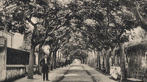 Por el antiguo Camino Real - Visita guiada teatralizada