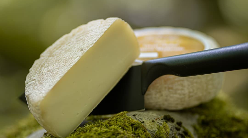 BBF23: Cata Txakolí y queso