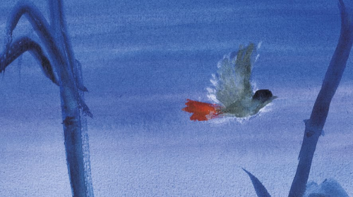 Presentación del libro: "Descansando en la vida: La ternura del instante"