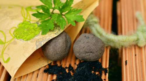 TALLER BIO-DIVER: BOMBAS DE SEMILLA