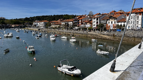 Salida guiada por la ría y costa de Plentzia