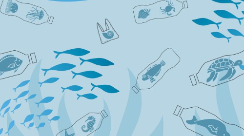 TALLER PARA PERSONAS ADULTAS: ALTERNATIVAS A LOS PLÁSTICOS, APRENDE A FABRICAR BIO-PLÁSTIC