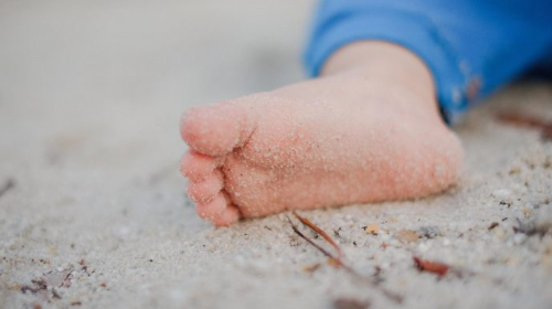 Actividad para bebés: Mis primeros pasos en la naturaleza