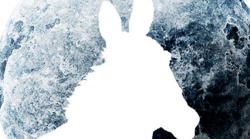 SUEÑO DE UNA NOCHE DE VERANO