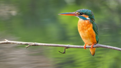 ITINERARIO GUIADO POR BOLUE