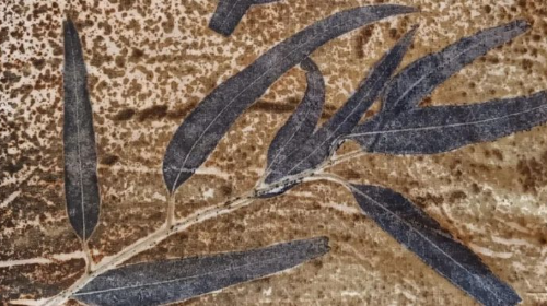 TALLER PARA PERSONAS ADULTAS: ESTAMPACIÓN BOTÁNICA EN TEXTILES