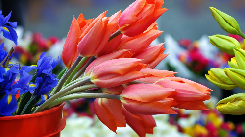 Mercado de las flores del Arenal