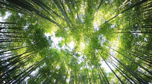 Gau Zuria 2023-BASOAN ZEHAR