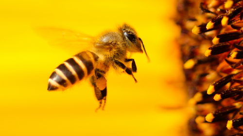 Gau Zuria 2023-ERLEAK