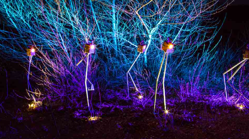 Gau Zuria 2023-MI-GRATTEURS