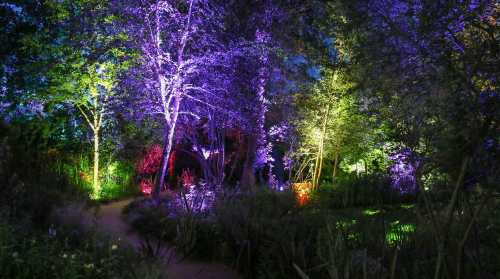 Gau Zuria 2023-JARDÍN DE MEDIANOCHE