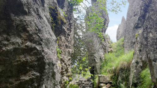 UDALA - GONGETAKO MEATZEA - BESAIDE