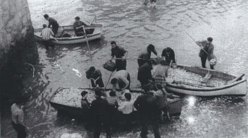 Visita guiada teatralizada: Por los orígenes del Puerto Viejo