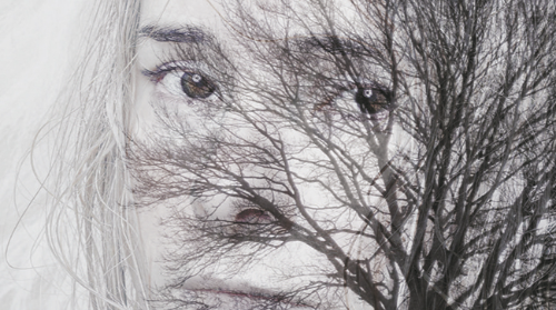 DEL COLOR DE LA LECHE