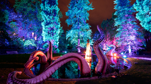 Itsasaldi: Naturaleza encendida