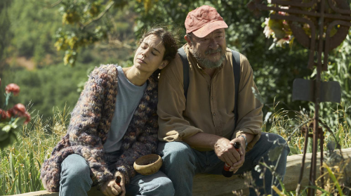 Zinemabarri: ELS ENCANTATS