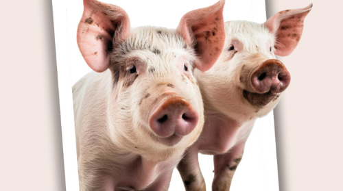 XXXIV Feria agrícola y ganadera de Leioa