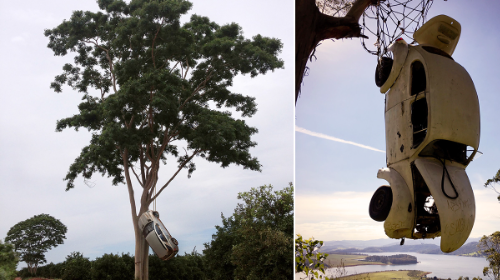 A vingança é uma espécie de justiça selvagem 