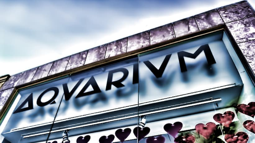 AQUARIUM