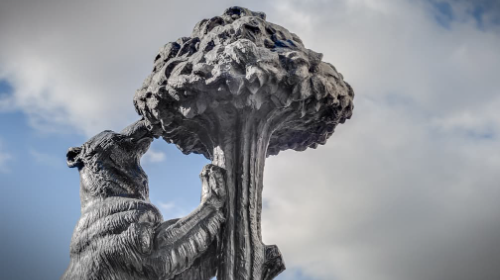 EL OSO Y EL MADROÑO